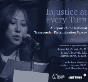 Injustice at Every Turn: A Report of the National Transgender Discrimination Survey